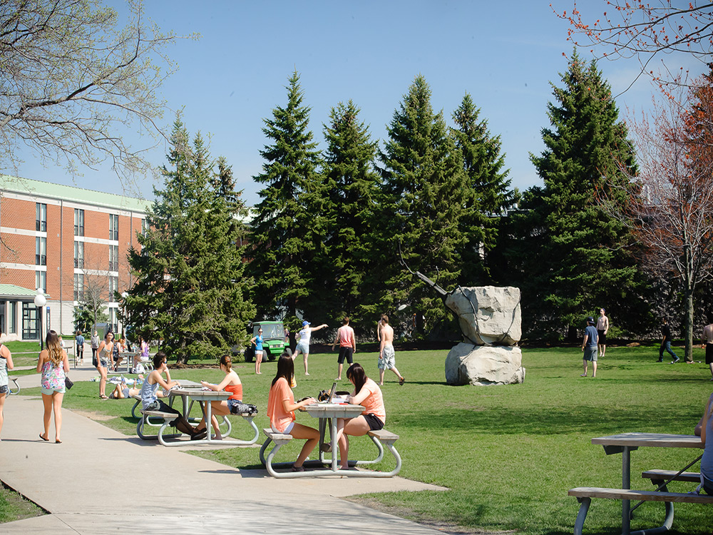 Interview mit Sheila Young von der Brock University