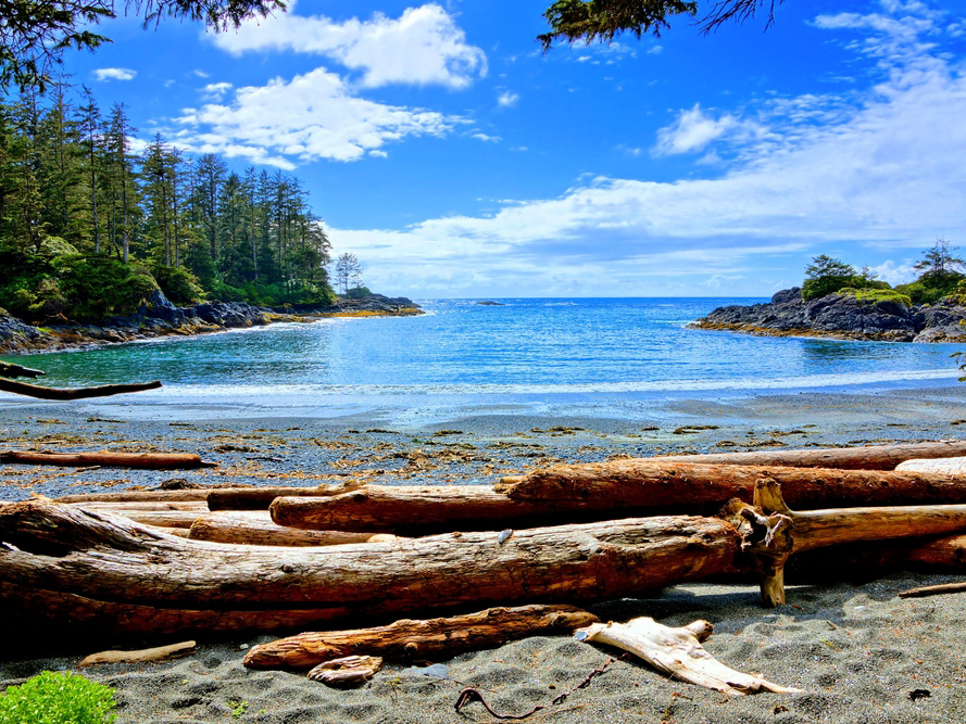 University of Victoria lockt mit tollem BWL-Sommerprogramm