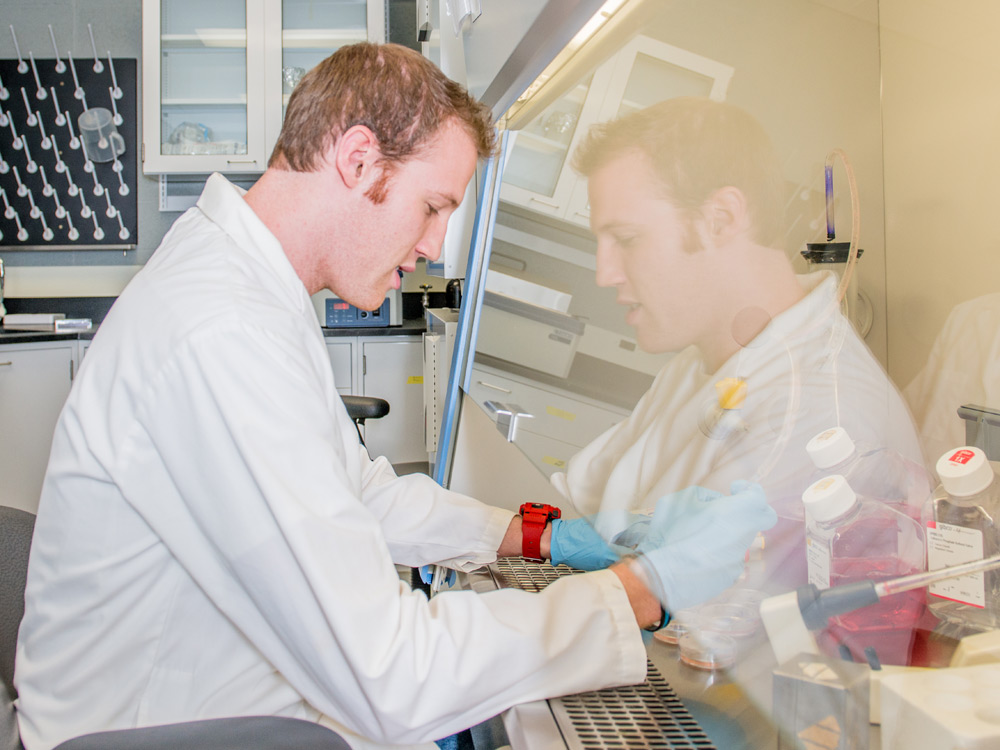 Die vier tollsten Hochschulen für Ökotrophologen