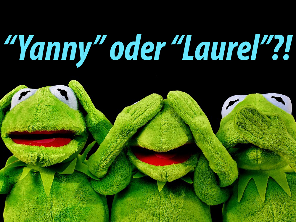 Yanny oder Laurel - Unsere Partnerhochschule UCLA klärt auf