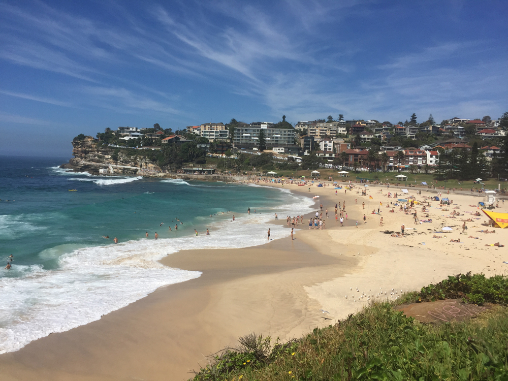 Vom UTS Housing zu den besten Vierteln Sydneys