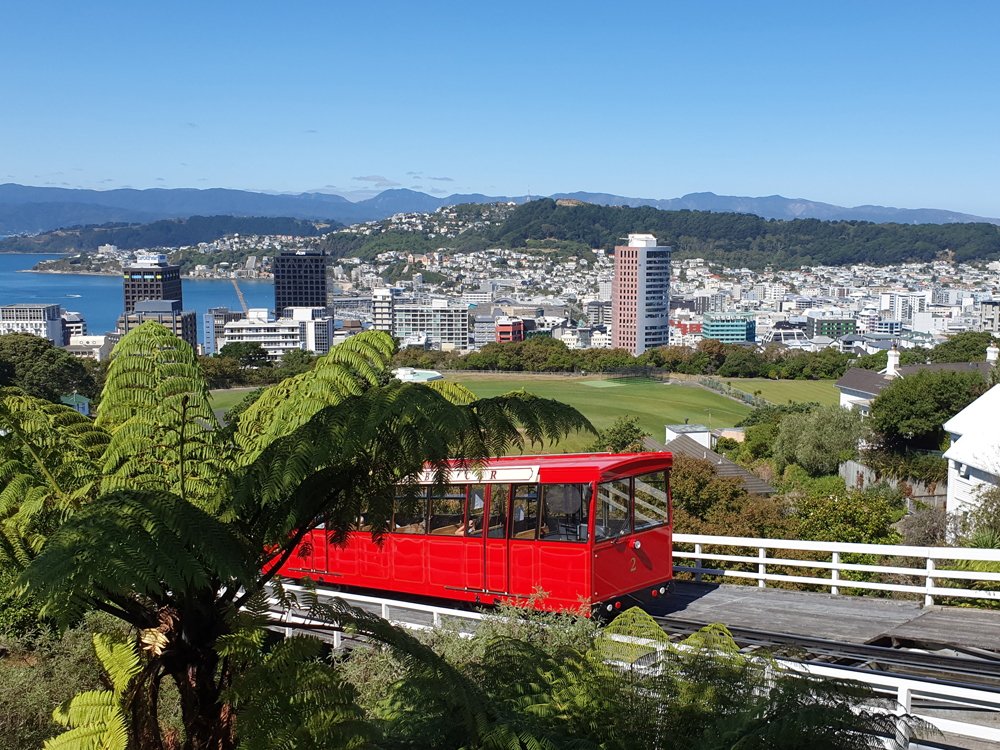 Interview mit Fabio von der Victoria University of Wellington