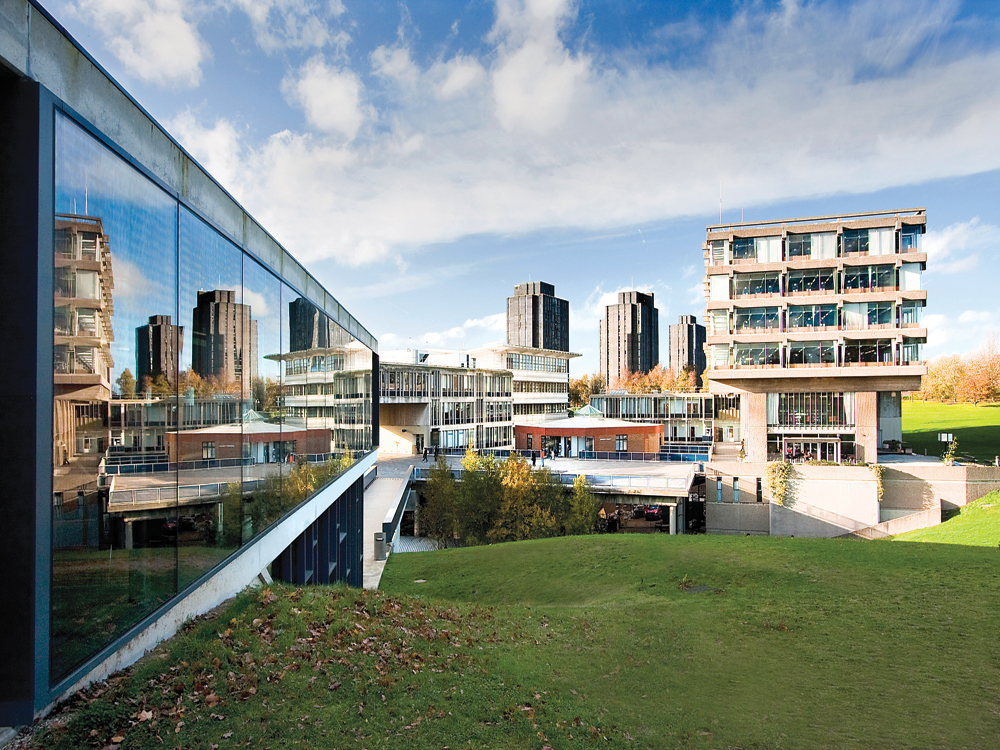Was die University of Essex zum idealen Ort für dein Academic Gap Year macht