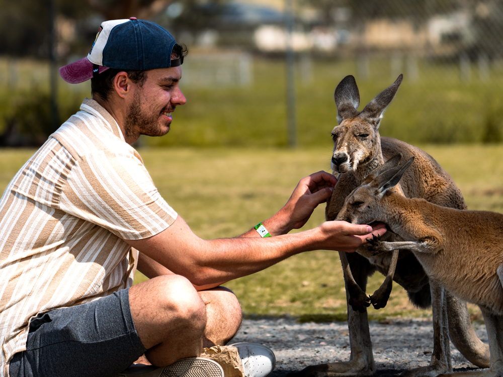 Mit Niklas nach Down Under