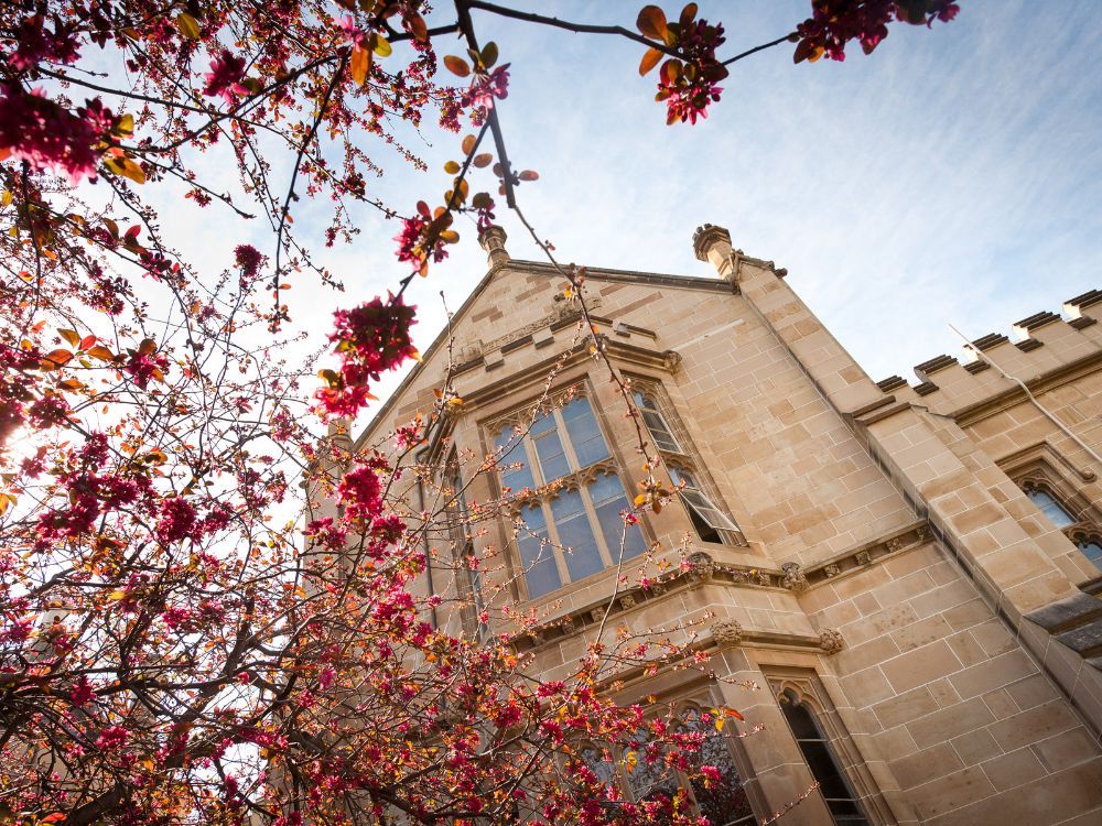 Spitzenergebnis für die University of Melbourne im QS Ranking