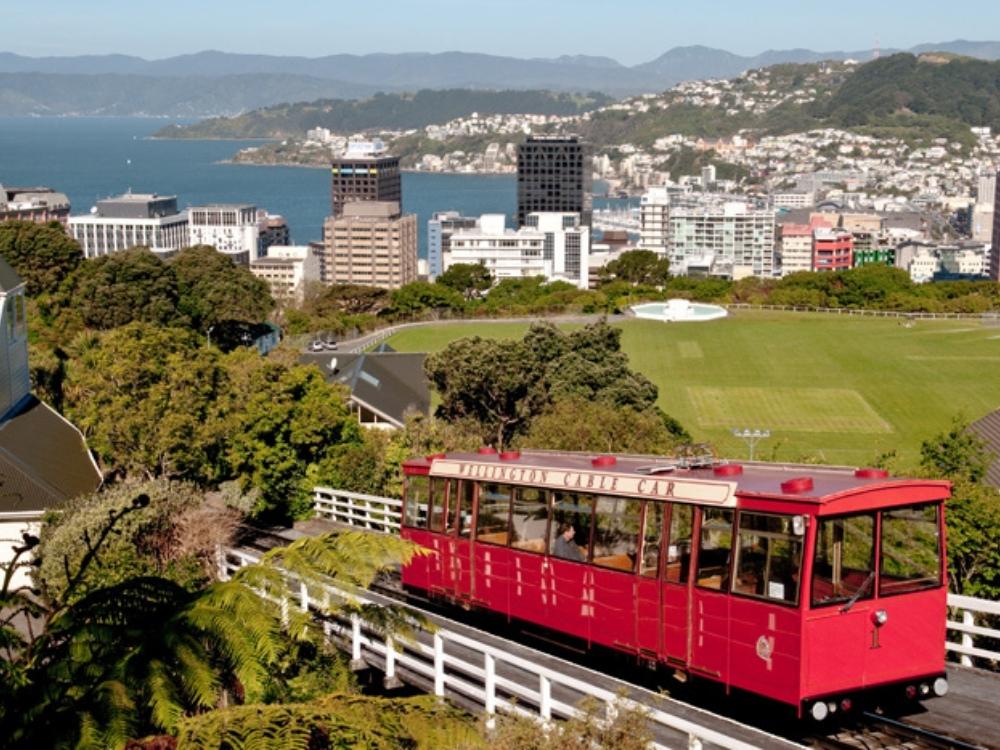Lebensqualität und Top-Studium: Warum Wellington der perfekte Ort für einen LL.M. ist