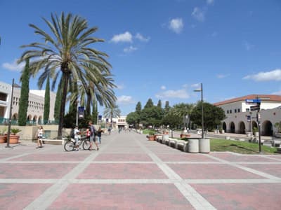 Der Campus der SDSU ist sehr weitläufig. Campus der San Diego State University