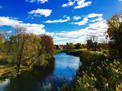 Boston ist zu jeder Jahreszeit einen Besuch wert. Boston (USA) im Herbst