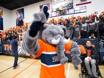 Ein Unimaskottchen bleibt bei der Arbeit immer in Bewegung. Tuffy, Maskottchen der California State University Fullerton