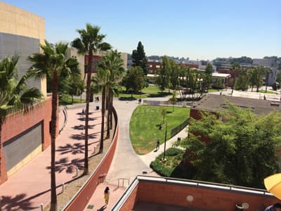 Der Campus der CSULA bietet nicht nur ein Sonnendeck und Palmen, sondern viele Freizeitmöglichkeiten. Campus der CSULA.