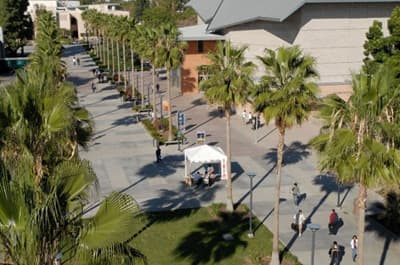 Zwischen den Vorlesungen lässt es sich gut auf dem schönen Campus der CSU Fullerton entspannen. Campus der CSU Fullerton