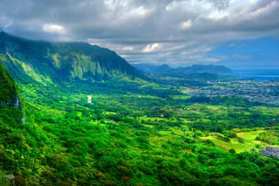 Viele Studenten erkunden die traumhafte Landschaft Hawai'is beim Hiken Die grüne Vulkanlandschaft auf Hawai'i