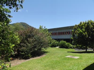 Studieren im Grünen - der Campus der JCU in Cairns Campus der James Cook University in Cairns