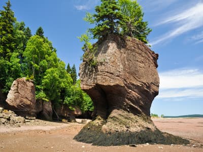 Wer unberührte Natur liebt, kommt während eines Auslandsstudiums an der wilden Küste in New Brunswick auf seine Kosten. Küste in New Brunswick
