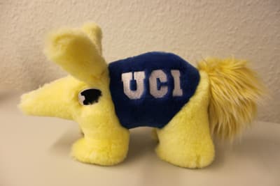 Andenken an die UCI: Ein Anteater als Kuscheltier Maskottchen der UC Irvine als Plüschtier