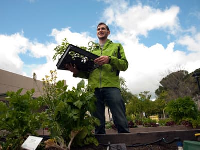 Wer Ernährungswissenschaften in Kalifornien, erfährt schnell die aktuellen Food Trends. Sustainability Garden an der UC Davis