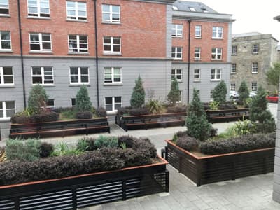 Alles an einem Ort: Das Griffith College Dublin ist eine klassische Campushochschule Campus des Griffith College Dublin