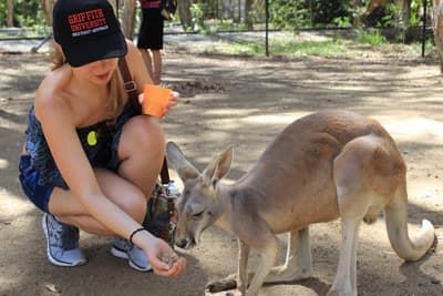 Der Kontakt zu den typischen australischen Tieren ist für viele Studenten eine tolle Erfahrung. Känguru-Füttern in einem Wildlife Sanctuary in Australien