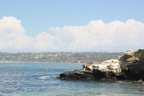 Die grandiose Küstenstadt La Jolla ist ein Juwel Südkaliforniens. Kueste von La Jolla