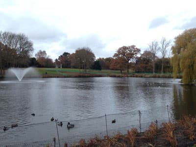 Der idyllische See umrandet von Parks lädt zum Entspannen ein. Ein See an dem Campus der University of Essex