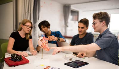 Hands-on ist hier Programm Sportstudenten arbeiten mit einem anatomischen Modell