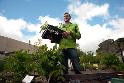 Get your hands dirty! Student erntet Kräuter im Sustainability Garden