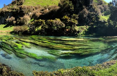 Farbenspektakel: Die "Blue Springs" machen ihrem Namen alle Ehre! Tolle Kombination aus türkisfarbenem Wasser und tropischer Pflanzenwelt