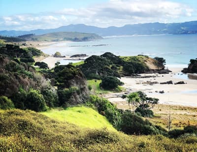 Der Tawharanui Regional Park bietet beeindruckende Panoramen Beeindruckendes Küstenpanorama im Tawharanui Regional Park