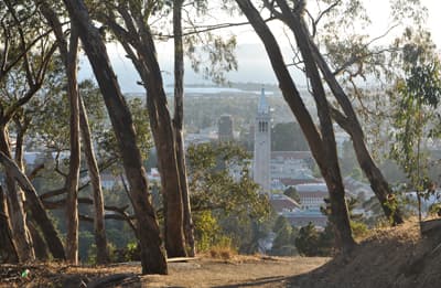 Weitsicht und Querdenken sind an der UC Berkeley Programm Aussicht auf den Sather Tower der UC Berkeley in der San Francisco Bay Area