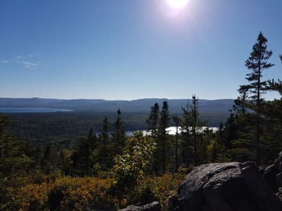 Kanada ist bekannt für seine unendlich weite Natur Blick von einem Hügel auf Wälder und Seen