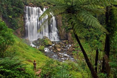 Natur pur: Die neuseeländische Landschaft ist ein wahres Erlebnis! Wasserfall in sehr grüner Umgebung