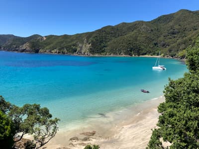 "Einfach ein Traum" Ein Boot liegt in den stillen türkisfarbenen Wassern der Bay of Islands