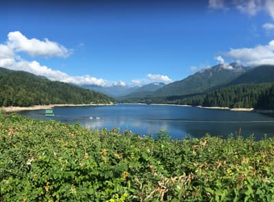 Tolle Wahl für ein Auslandssemester Strahlend blauer Himmel über einem von Bergen und Wald umgebenen See.