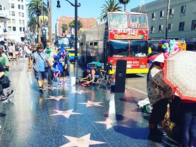 Stars und Sternchen hautnah Der Walk of Fame zieht Touristen aus aller Welt an.