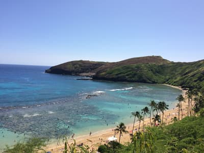 Studieren, wo andere Leute Urlaub machen! DIe Küste Hawaiis