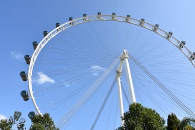 Die Aussicht genießen! Der Singapore Flyer ist das größte Panorama-Riesenrad Asiens