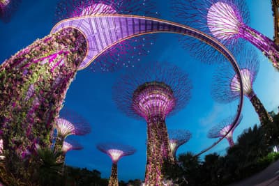 Tropical Nights in Singapur Die futuristischen Supertrees der Gardens by the Bay erstrahlen nachts in bunten Farben
