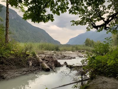 Erholung findet ihr in den wäldlichen Gebieten nahe der Stadt Fluss im Wald