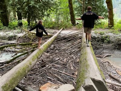Naturfreaks kommen auch hier auf ihre Kosten! Studenten im Wald