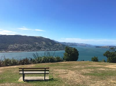Neuseelands Top-Studentenstadt Bank auf einem Hügel mit Blick in die Bucht von Dunedin
