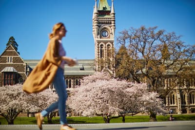 Der Clocktower ist das Wahrzeichen der University of Otago Studentin läuft über den blütenbesäten Campus der University of Otago.