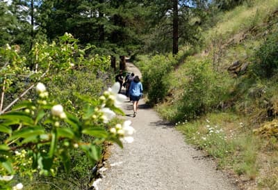 Gemeinsam die kanadische Natur erkunden Studenten machen eine Wanderung