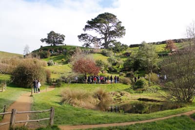 In Hobbiton in Neuseeland wird der Traum vom Auenlandwahr. Hobbiton