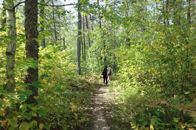 Wandern am Lake Winnipeg Studentinnen wandern durch saftig grünen Wald am Lake Winnipeg