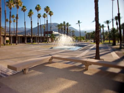 Studieren, wo andere Leute Urlaub machen! Campus des College of the Desert