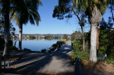 Stadt der Seen Blick durch Palmen auf den Lake Orr, an dem der Campus der Bond University gelegen ist