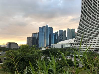 Geheimtipp für Jogging-Fans Grünfläche am Fuße einer der drei Hochhaussäulen des Marina Bay Sands.
