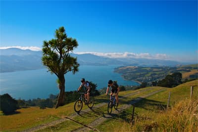 Neuseelands wilden Süden entdecken! Mountainbiker bei einer Radtour auf der Otago Peninsula mit tollem Blick über die Küste bei Dunedin.
