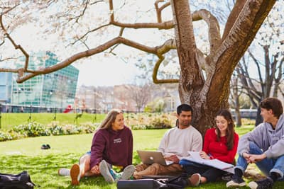 PPE-ler sind echte Multi-Talente Studenten sitzen an einen Baum gelehnt auf einer Wiese des Campus der University of Otago. Im Hintergrund sieht man moderne Unigebäude.