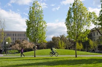 Sunny California Radfahrer auf dem sehr grünen Campus der UC Davis